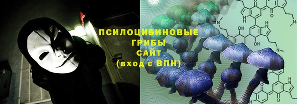 соль курить ск Няндома