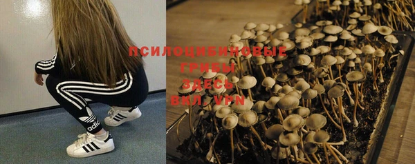 спайс Нягань