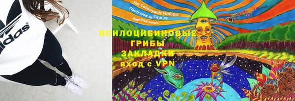 спайс Нягань
