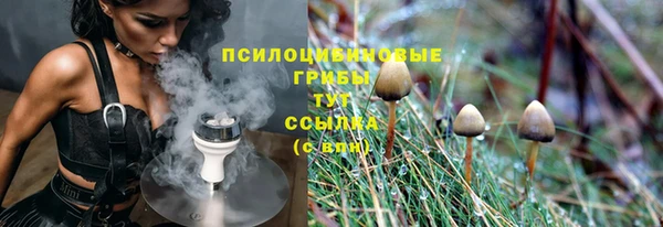 соль курить ск Няндома